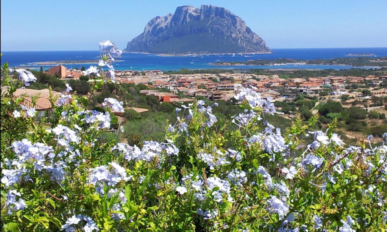 Le Case Del Mare Porto San Paolo  Exterior foto
