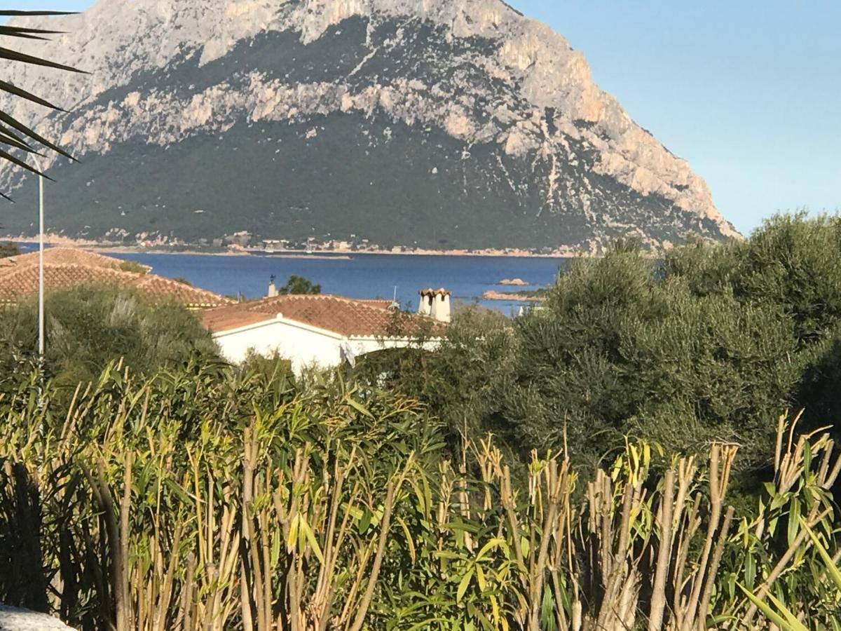 Le Case Del Mare Porto San Paolo  Exterior foto